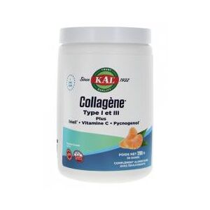 Collagène Type I et Iii Plus Solusiltm - Vitamine c Pycnogénol   Arôme Naturel de Mandarine - Pot 298 g - Pot 298 g