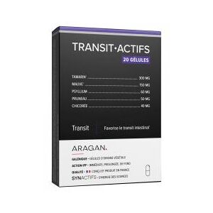 Aragan Synactifs Transitactifs® - Transit Intestinal - Tamarin Mauve Psyllium Pruneau Chicoree - 20 Gelules - Boîte 20 gelules