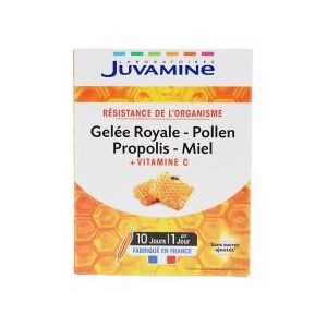 Juvamine Gelee Royale Pollen Propolis Miel Vitamine C Resistance de l'organisme 10 Ampoules x 10 ml - Boîte 10 ampoules de 10 ml