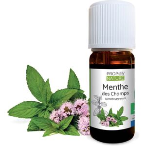 Menthe des champs BIO - Huile essentielle