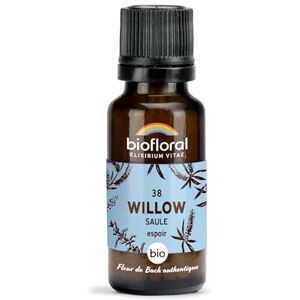 Biofloral 38 Willow, Saule BIO Espoir Fleur de Bach Authentique 470 Granules Sans Alcool - Publicité