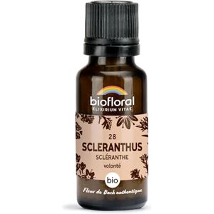 Biofloral 28 Scleranthus, Scléranthe BIO Fleur de Bach Authentique 470 Granules Volonté Sans Alcool - Publicité