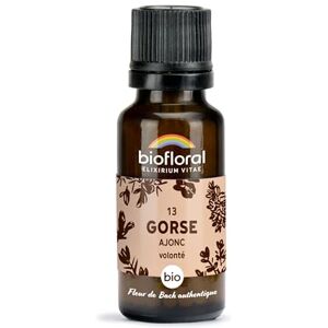 Biofloral 13 Gorse, Ajonc BIO 470 Granules Volonté Fleur de Bach Authentique Sans Alcool - Publicité