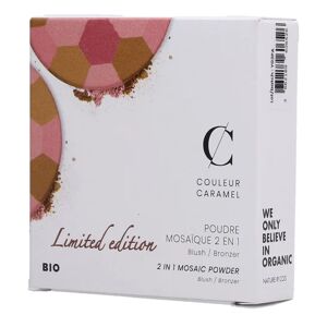 Couleur Caramel Poudre Mosaïque 2 en 1 Bio Reminiscence 8.5g