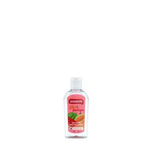 Gel Hydroalcoolique Melon Pastèque 80ml