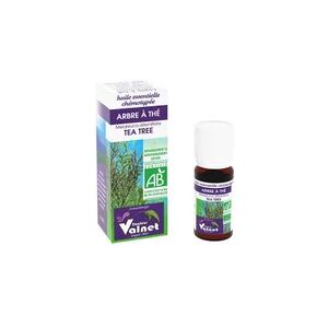 Huile Essentielle d'Arbre à Thé Bio 10ml