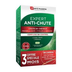 Forte Pharma Forte Pharma Expert Anti-Chute 90 Comprimes