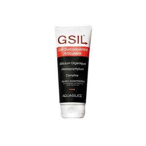 Aquasilice Gsil Gel Surconcentre Articulaire 200ml