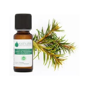 Voshuiles Huile Essentielle De Ledon Du Groenland 5ml