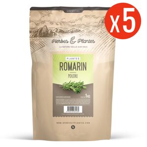 123gelules Romarin - 5 kg de poudre