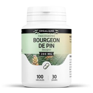 SPN Bourgeon de Pin 200 mg - Gélules - Publicité