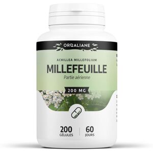 Millefeuille - 200 mg - Gélules