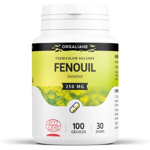 Fenouil Ecocert 250 mg - gélules