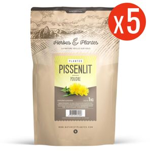 123gelules Pissenlit - Poudre 5 kg