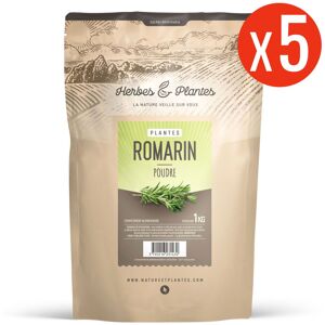 123gelules Romarin - 5 kg de poudre