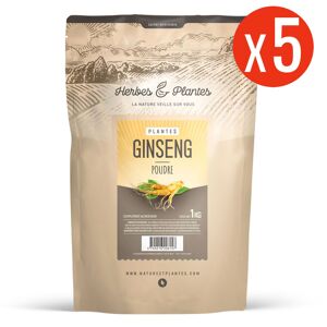 123gelules Poudre de Ginseng Rouge Panax 5 kg