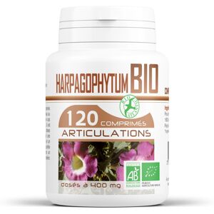 Harpagophytum Bio 400 mg - comprimés