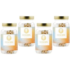 Cure 4 mois activatrice de bronzage Reborn 4x30g