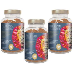 Cure 3 mois confort articulaire Reborn 3x150g