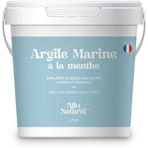 France Herboristerie Argile Marine a la Menthe - Pot de 1,5kg