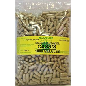 France Herboristerie GELULES CASSIS feuille 250 mg 1000 GELULES