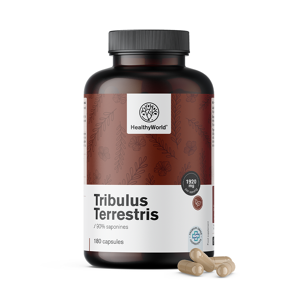 Healthy World Tribule terrestre - Tribulus 1920 mg, 180 gélules