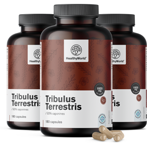 Healthy World 3x Tribule terrestre - Tribulus 1920 mg, ensemble 540 gélules