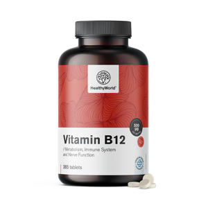 Healthy World Vitamine B12 500 µg, 365 comprimés