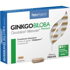 Ginkgo Biloba - Oxygénation du cerveau - Complément alimentaire - Mémoire - Concentration - Boîte de 30 gélules - Fabrication Française - NaturAvignon - Publicité