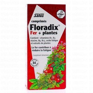 SALUS Floradix fer + plantes x84 comprimes