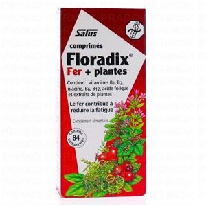 Floradix fer + plantes x84 comprimés