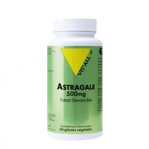 Vitall+ Astragale Vitall+ 500mg : Conditionnement - 60 gélules