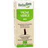 Herbalgem Macérat Concentré Vigne Vierge Bio 30ml