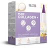 Programme 10 Jours Pure Collagen + Anti Age Pêche - Citron - Eric Favre Gris XL