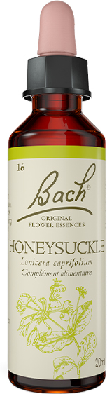 Fleurs de Bach® Original - Honeysuckle 20ml