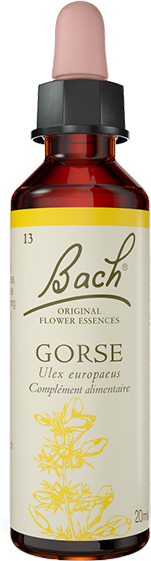 Fleurs de Bach® Original - Gorse 20ml