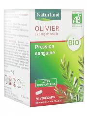 Naturland Olivier Bio 75 Végécaps - Boîte 75 végécaps