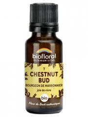 Biofloral 07 Chestnut Bud Bourgeons Marronnier Bio 19,5 g - Flacon 19,5 g