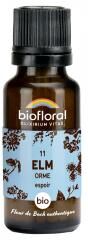 Biofloral 11 Elm Orme Granules Bio 19,5 g - Flacon 19,5 g