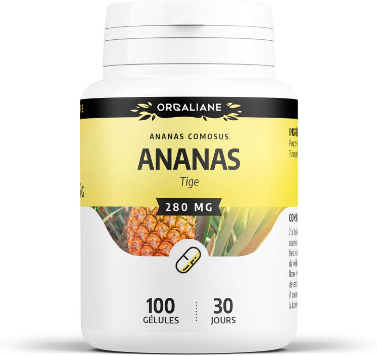 GPH Diffusion Ananas Tige - 280 mg - gélules