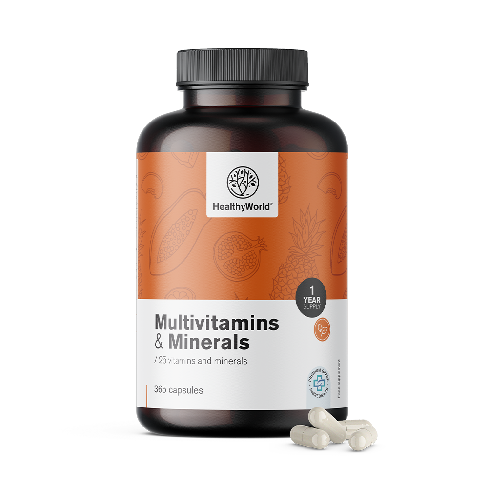 Healthy World Multivitamines et minéraux, 365 gélules
