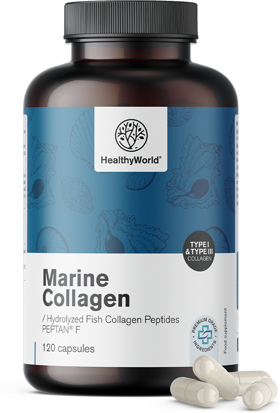 Healthy World Collagène marin 1170 mg, 120 gélules