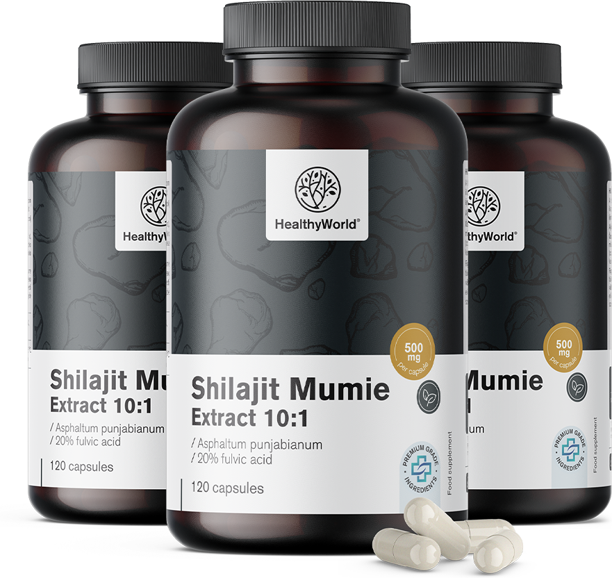 Healthy World 3x Shilajit Mumie Extract 10:1, ensemble 360 gélules