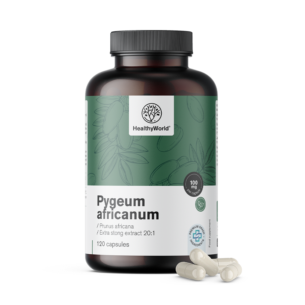 Healthy World Pygeum - extrait de prunier d'Afrique, 120 gélules