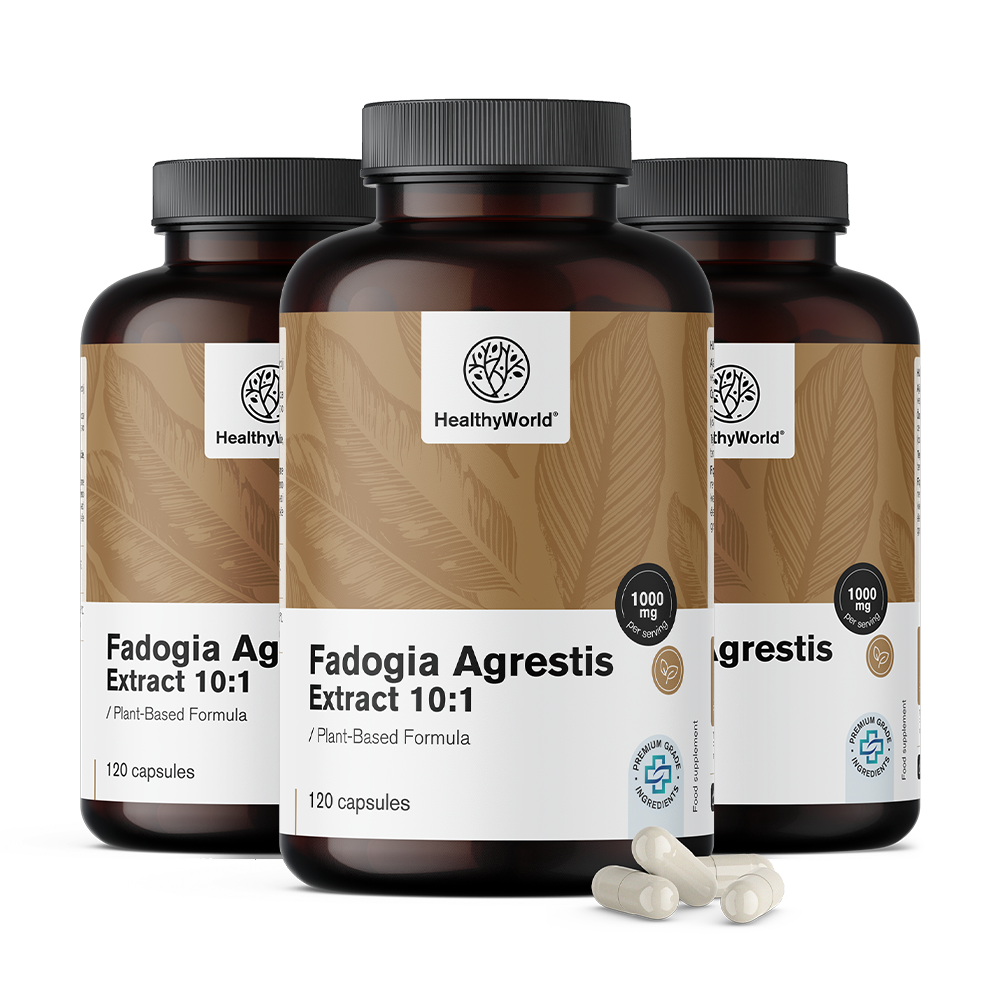 Healthy World 3x Fadogia Agrestis 1000 mg, ensemble 360 gélules
