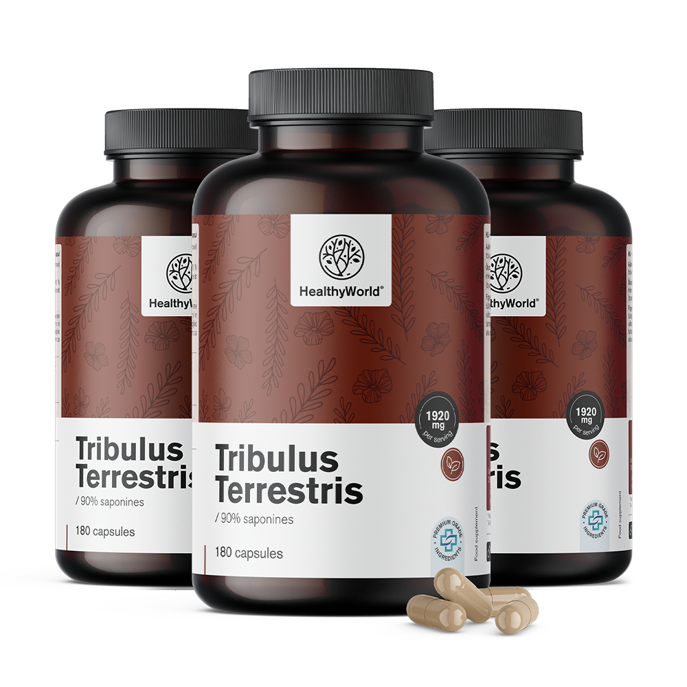 Healthy World 3x Tribule terrestre - Tribulus 1920 mg, ensemble 540 gélules