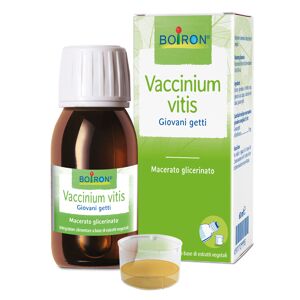 Boiron Vaccinium Vitis Idaea Macerato Glicerinato 60 ml