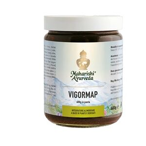 Maharishi Vigormap Integratore Convalescenza Pasta 600 Gr