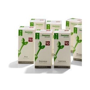 Fitomedical MAGNOLIA OFF 100ML MG