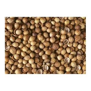 Erbamea Coriandolo frutti (100 g)